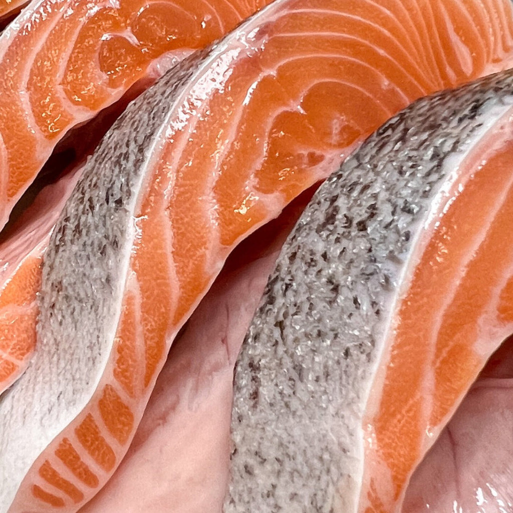Salmon Says! - Superfood Pet Treats