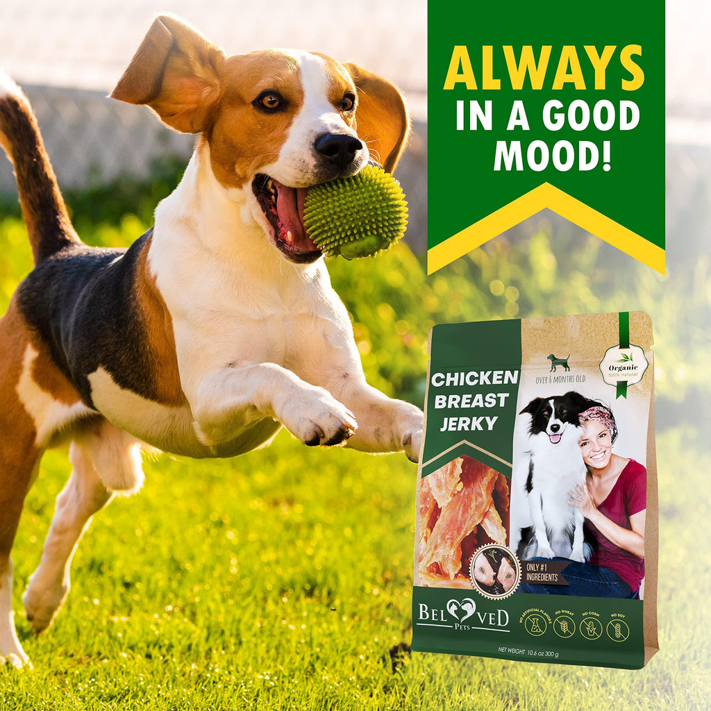 Chicken Jerky Dog Treats Organic