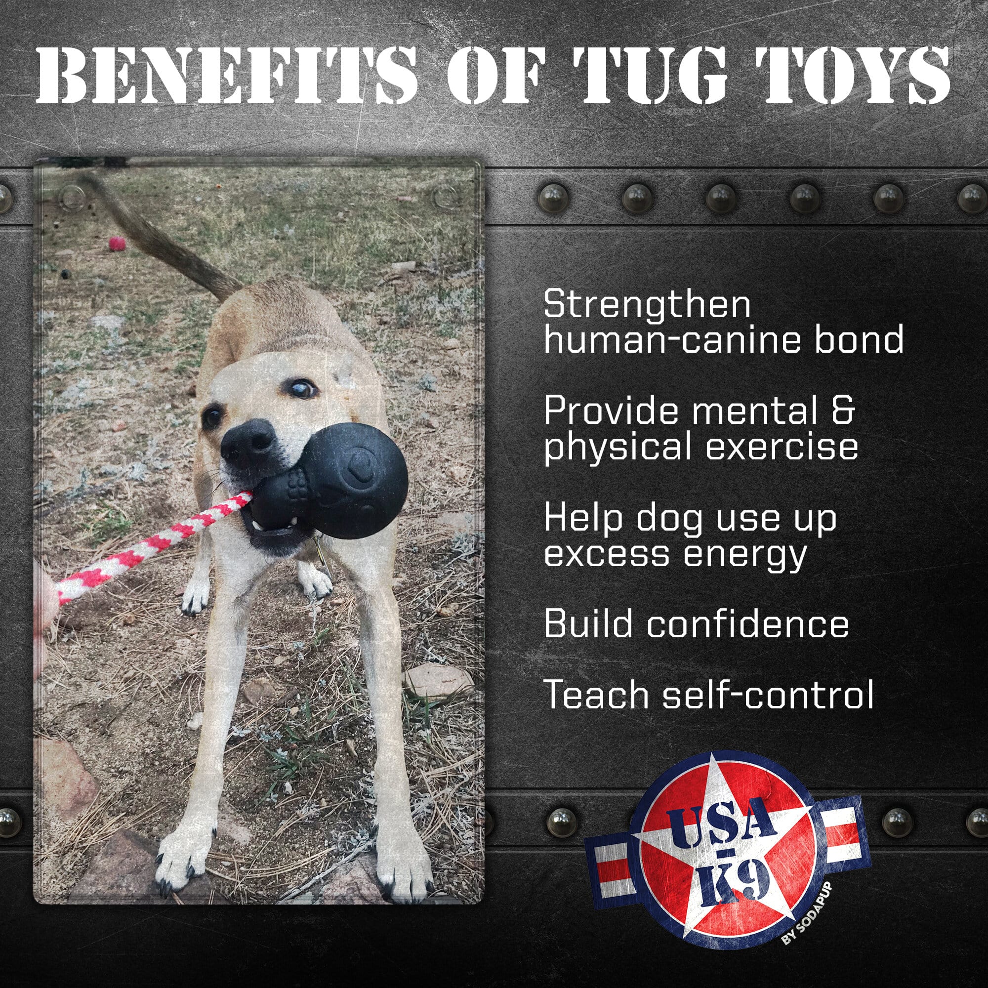 USA-K9 Magnum Skull - Black Magnum Rubber Chew Toy for Extreme Chewers