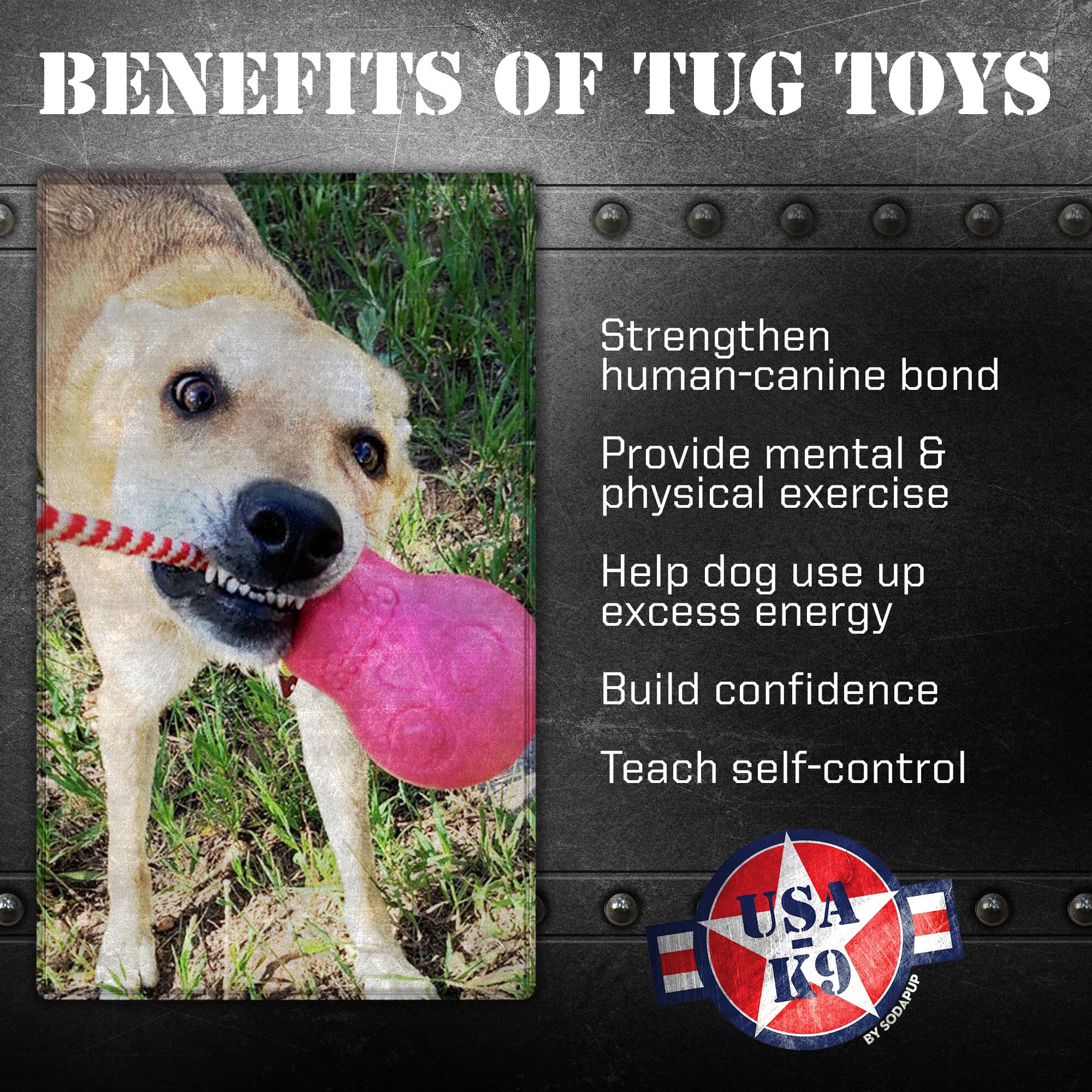 USA-K9 Skull Dog Chew Toy & Treat Dispenser