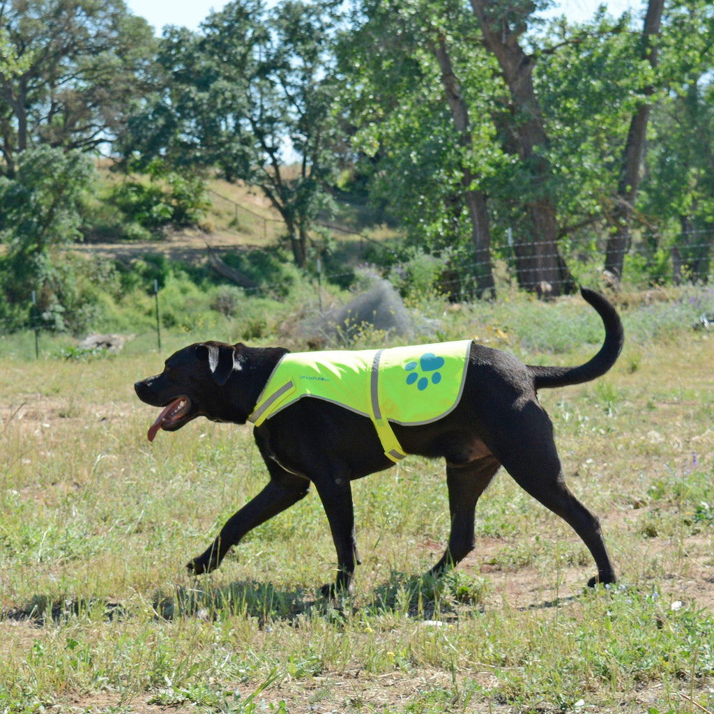 Reflective Dog Safety Vest Hi-Vis XL Size Neon Yellow