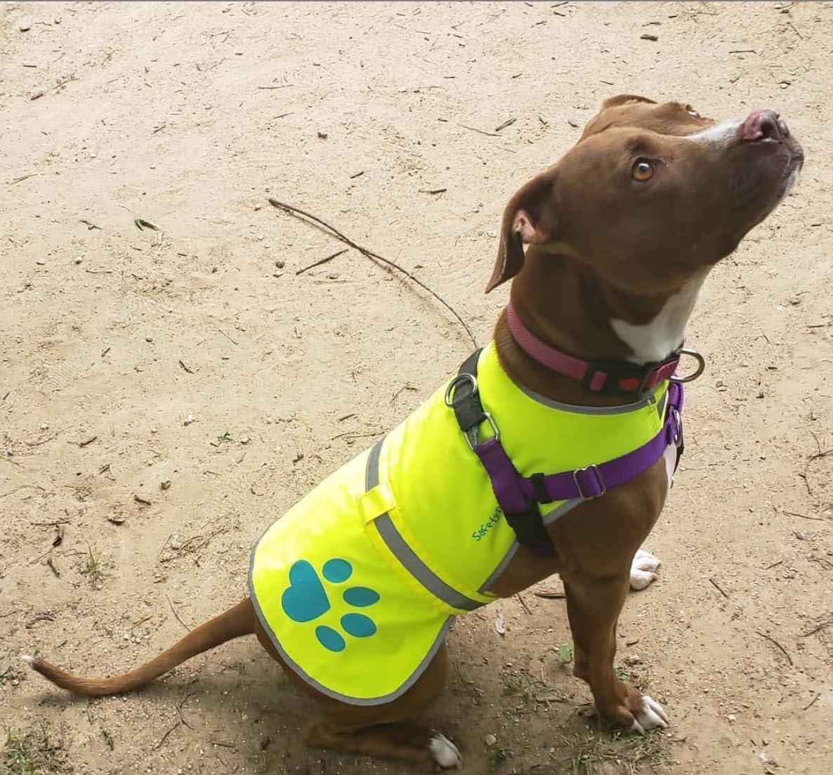 Reflective Dog Safety Vest Hi-Vis XL Size Neon Yellow