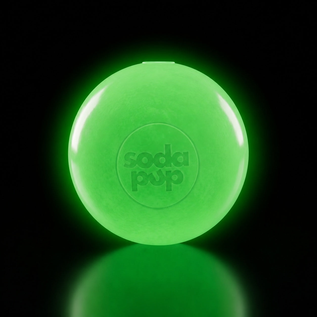 Squeak Ball - Durable Squeaky Dog Toy, Floats, Chew Toy