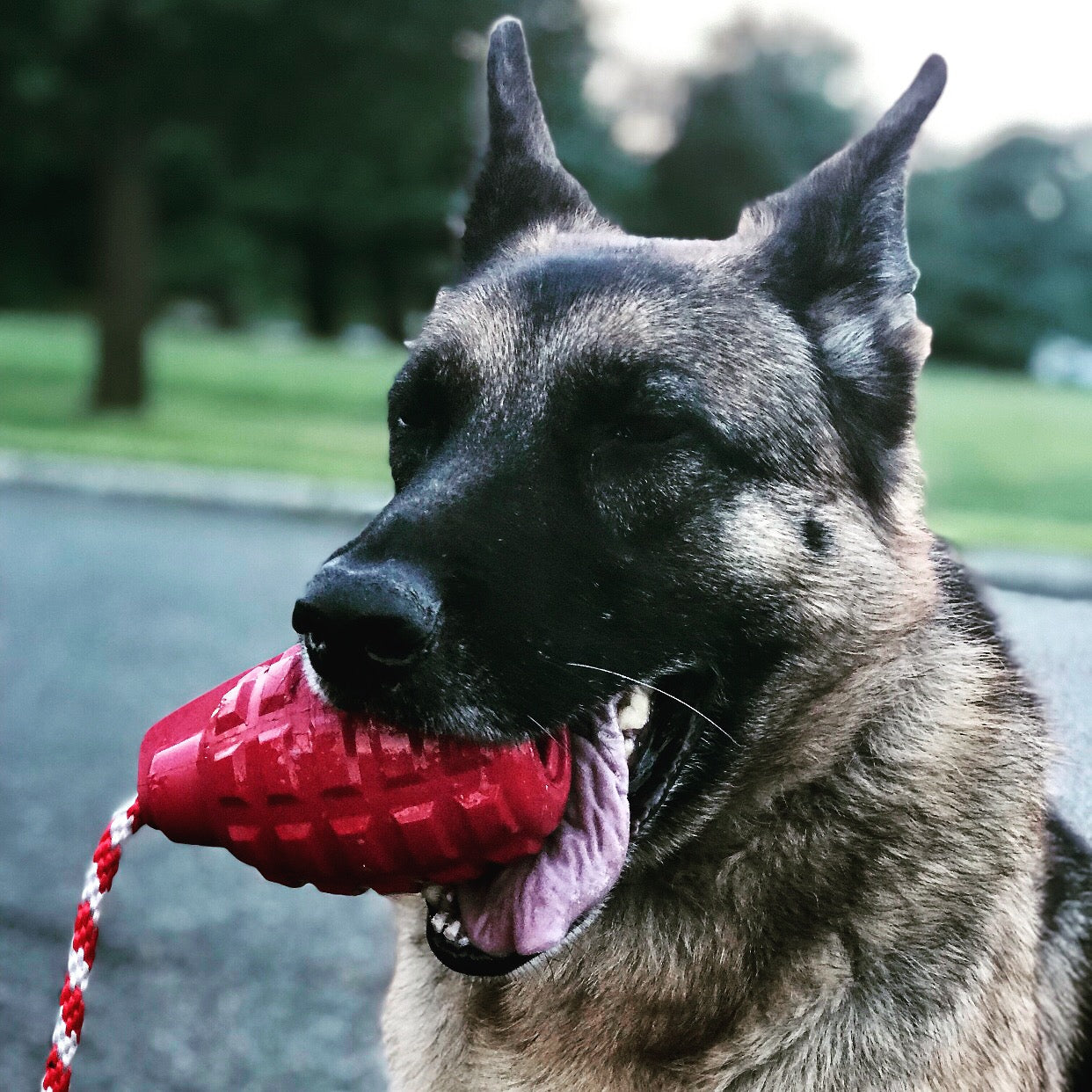 USA-K9 Grenade Rubber Dog Chew Toy | K9 Handler Reward Toy