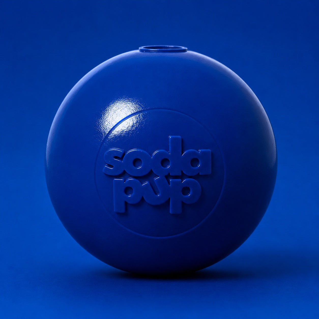 Squeak Ball - Durable Squeaky Dog Toy, Floats, Chew Toy