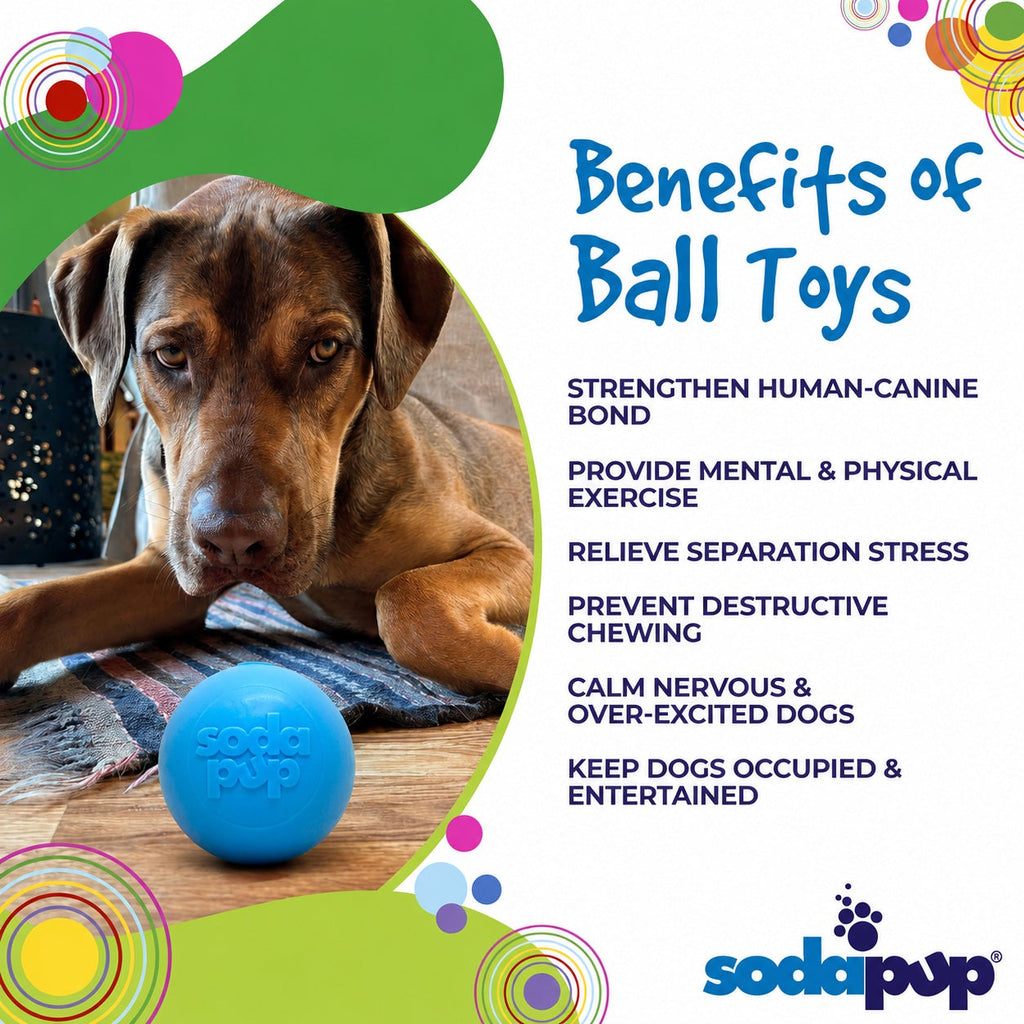 Squeak Ball - Durable Squeaky Dog Toy, Floats, Chew Toy