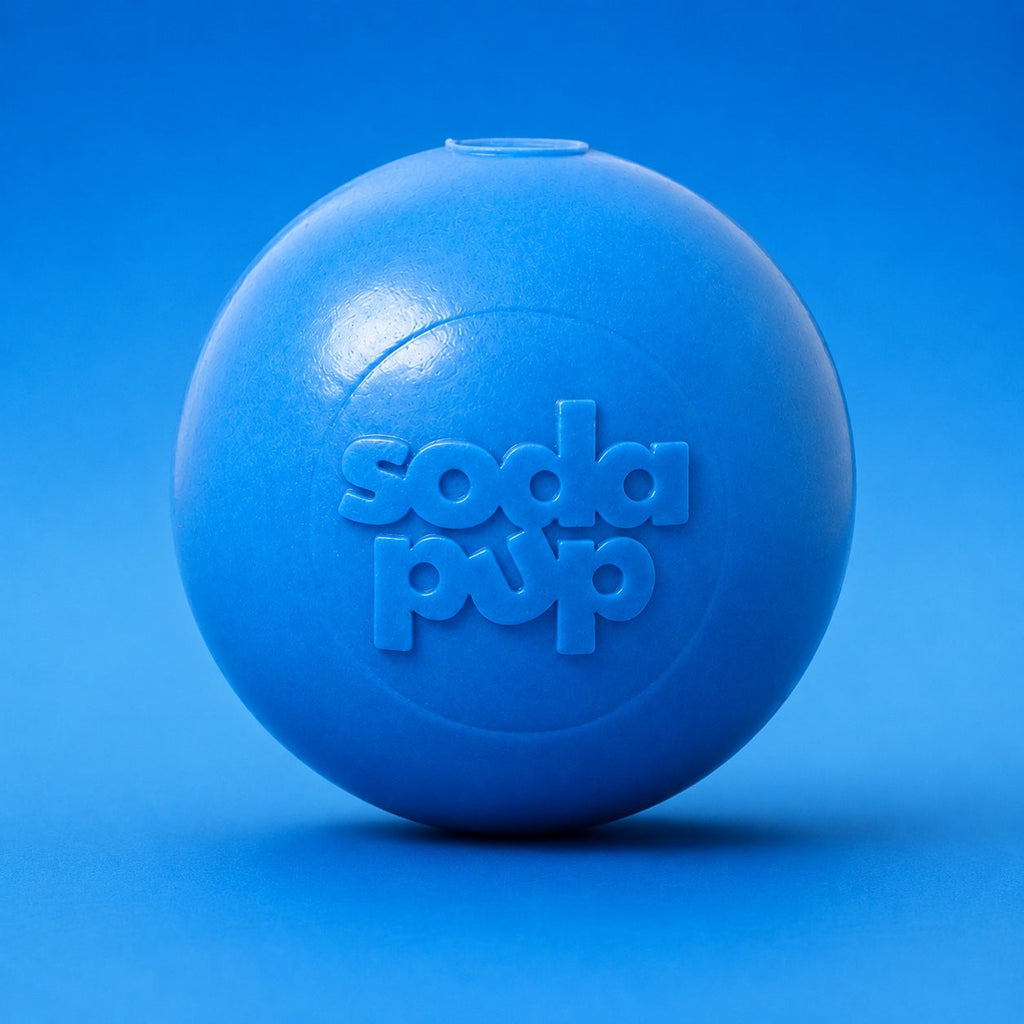 Squeak Ball - Durable Squeaky Dog Toy, Floats, Chew Toy