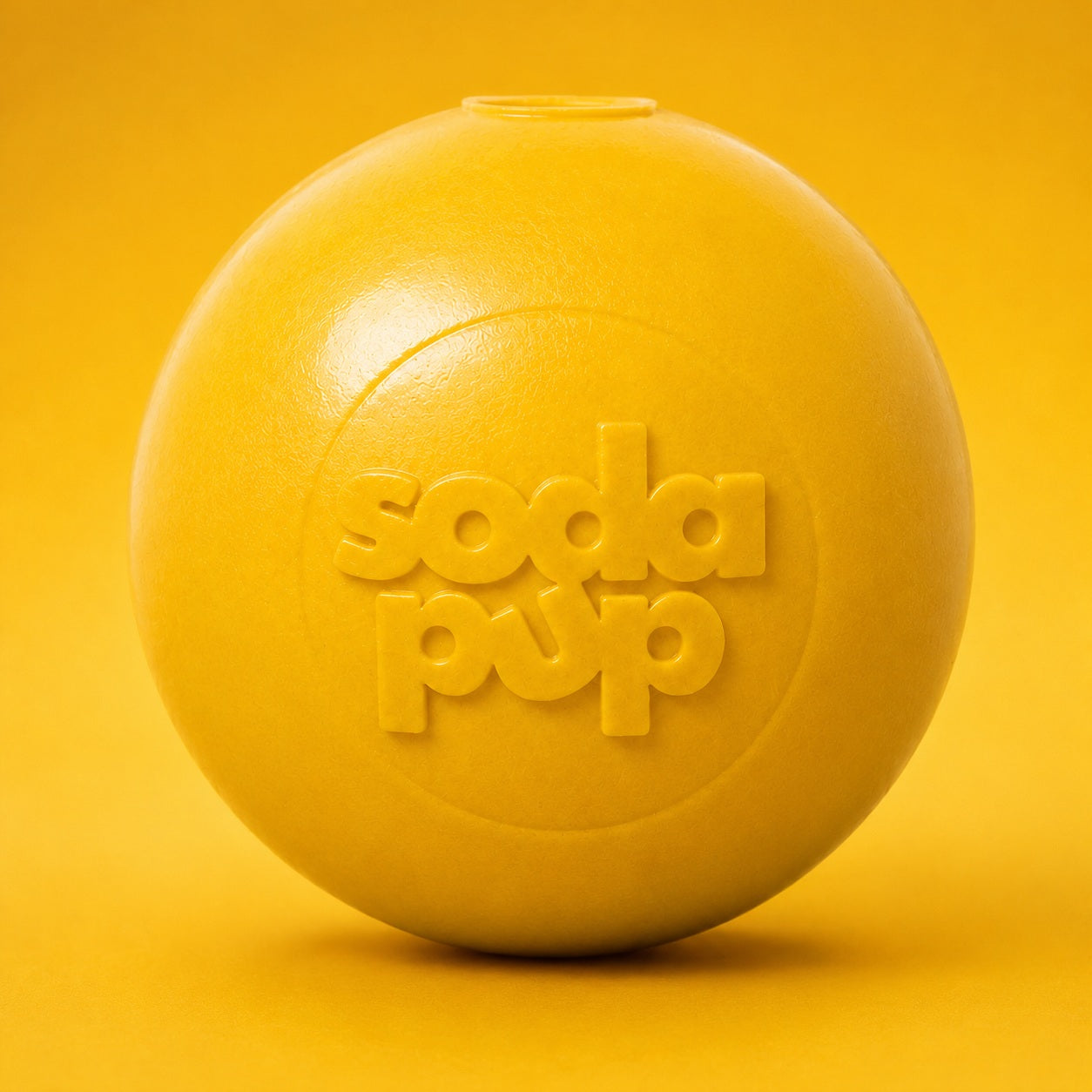 Squeak Ball - Durable Squeaky Dog Toy, Floats, Chew Toy