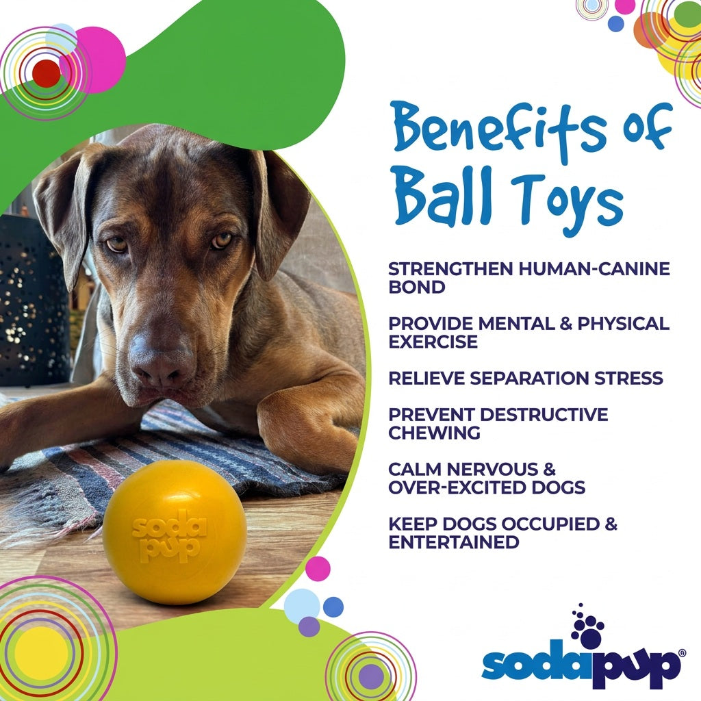 Squeak Ball - Durable Squeaky Dog Toy, Floats, Chew Toy