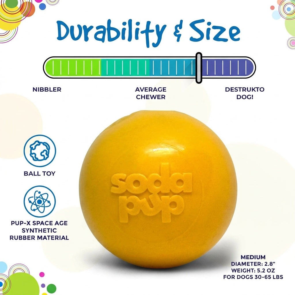 Squeak Ball - Durable Squeaky Dog Toy, Floats, Chew Toy