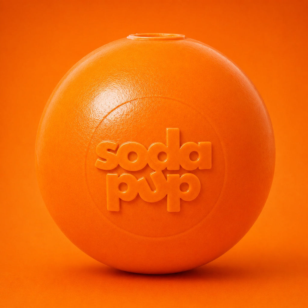 Squeak Ball - Durable Squeaky Dog Toy, Floats, Chew Toy