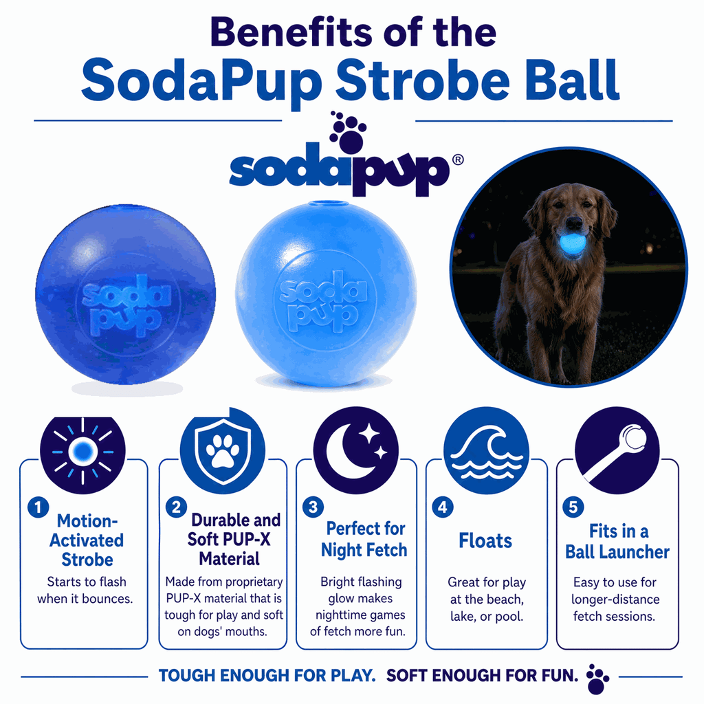 Strobe Ball Light-Up Dog Toy - Floating Chew Ball