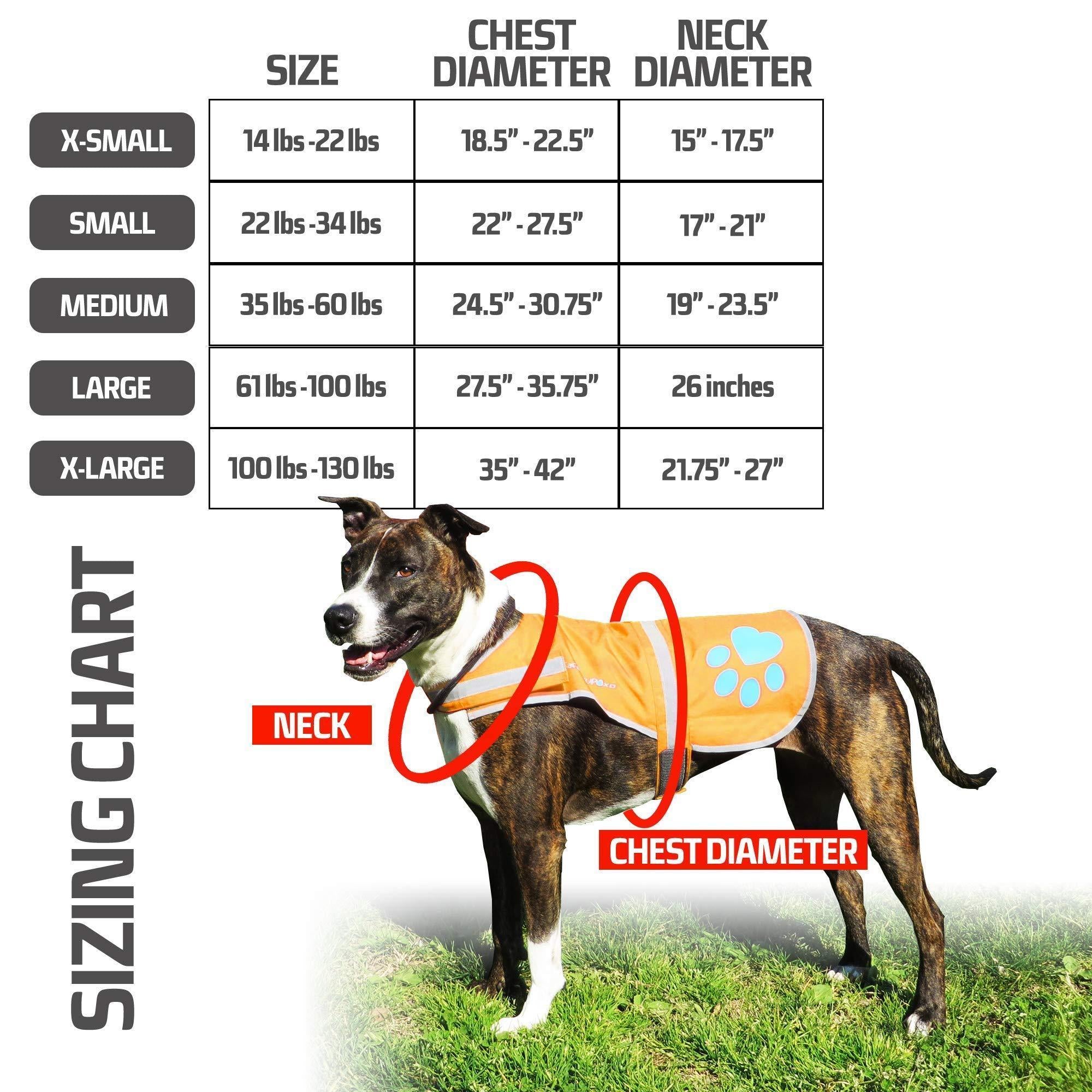 Waterproof Softshell Dog Vest Hi-Vis 36.75 in Chest x 23 in Neck Orange