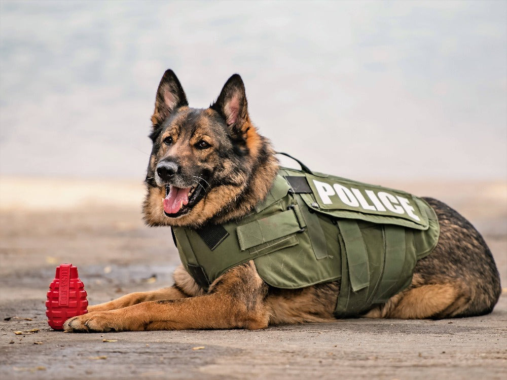 USA-K9 Grenade Shaped eDispenser Durable Dog Chew Toy & Treat Dispenser