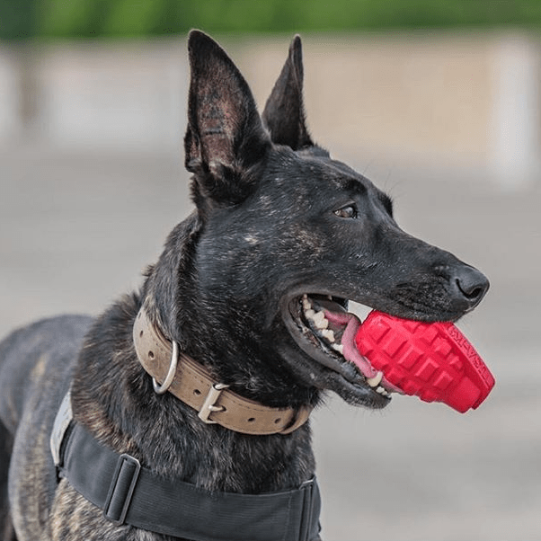 USA-K9 Grenade Shaped eDispenser Durable Dog Chew Toy & Treat Dispenser